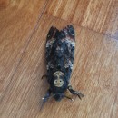 Acherontia atropos (Linnaeus, 1758)Acherontia atropos (Linnaeus, 1758)